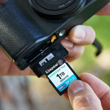 Cartão de Memória Micro SD com Adaptador Kingston SDG4 64 GB