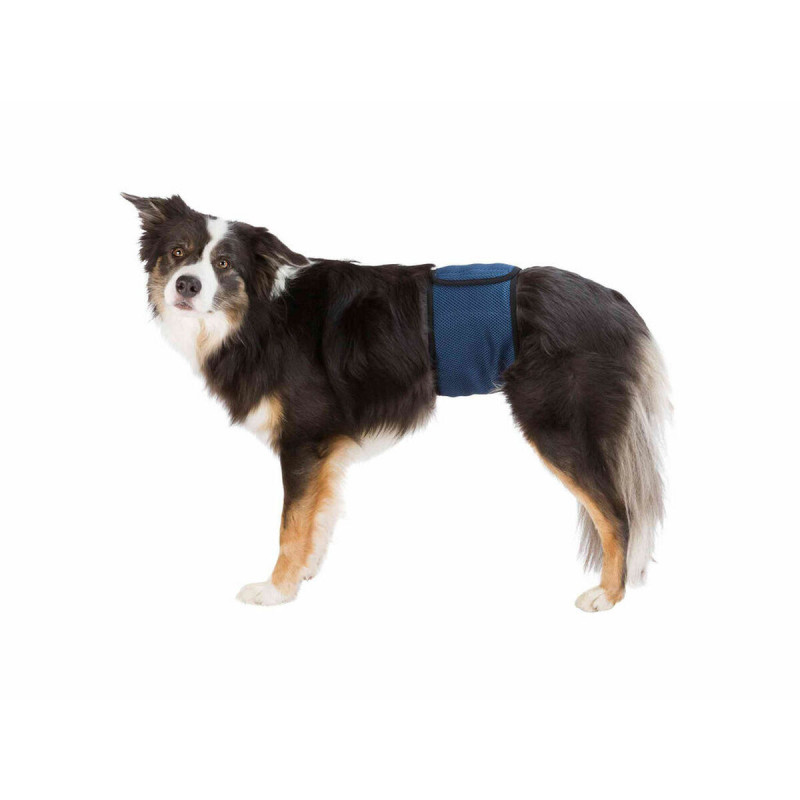 Protector para Incontinencia Trixie Macho Abdomen