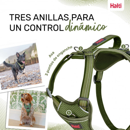 Arnês para Cães Company of Animals Verde XL 50-78 cm