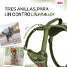 Dog Harness Company of Animals Green XL 50-78 cm