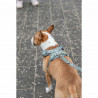 Dog Harness Trixie Premium FlexMesh L