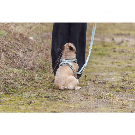 Imbracatura per Cani Trixie Premium FlexMesh L