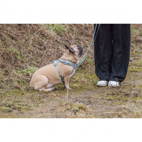 Imbracatura per Cani Trixie Premium FlexMesh L