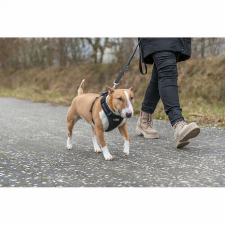 Arnés para Perro Trixie Premium FlexMesh Negro L