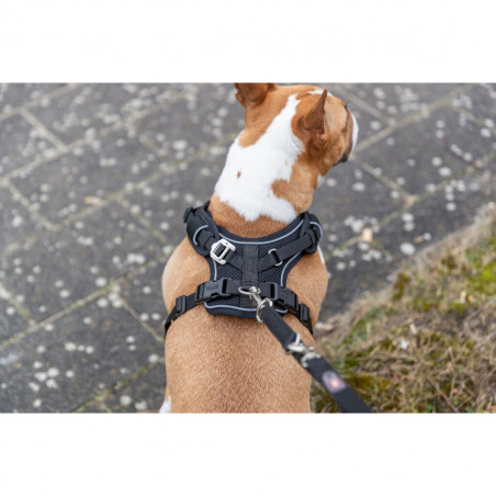 Imbracatura per Cani Trixie Premium FlexMesh Nero L
