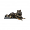 Airbed Trixie Dark grey 100 × 70 CM Dog