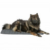 Matelas Trixie Gris foncé 100 × 70 CM Chien