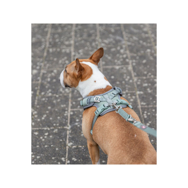 Arnés para Perro Trixie Premium FlexMesh L