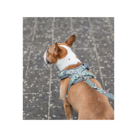 Arnês para Cães Trixie Premium FlexMesh L